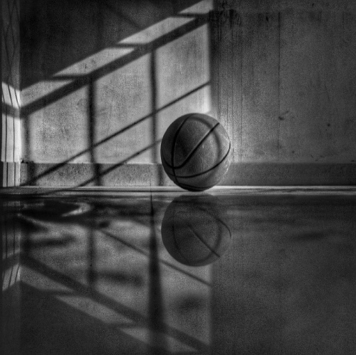 The Picture will be Loaded Soon