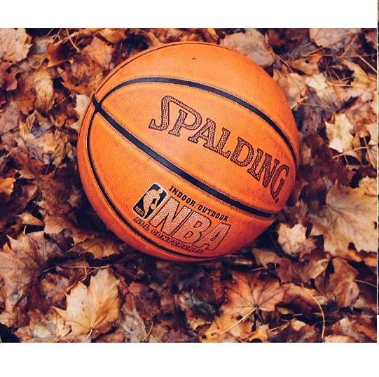 The Picture will be Loaded Soon