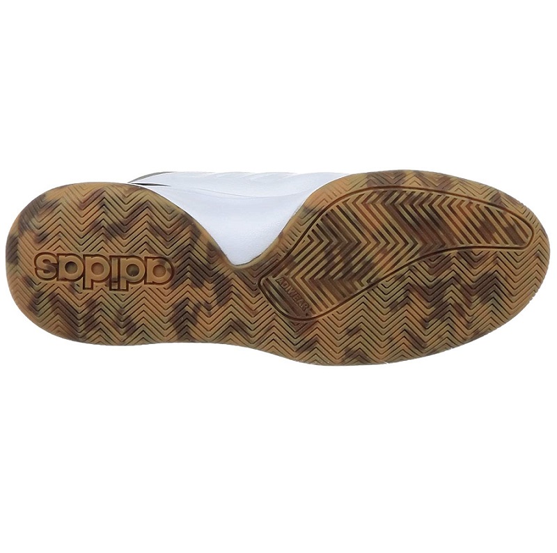 The Picture will be Loaded Soon