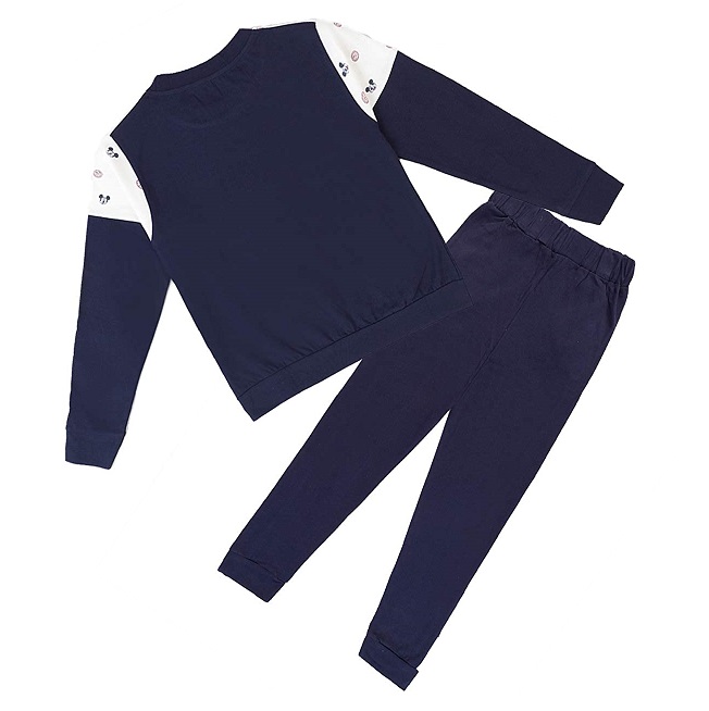 The Picture will be Loaded Soon