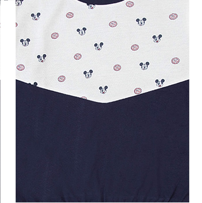 The Picture will be Loaded Soon