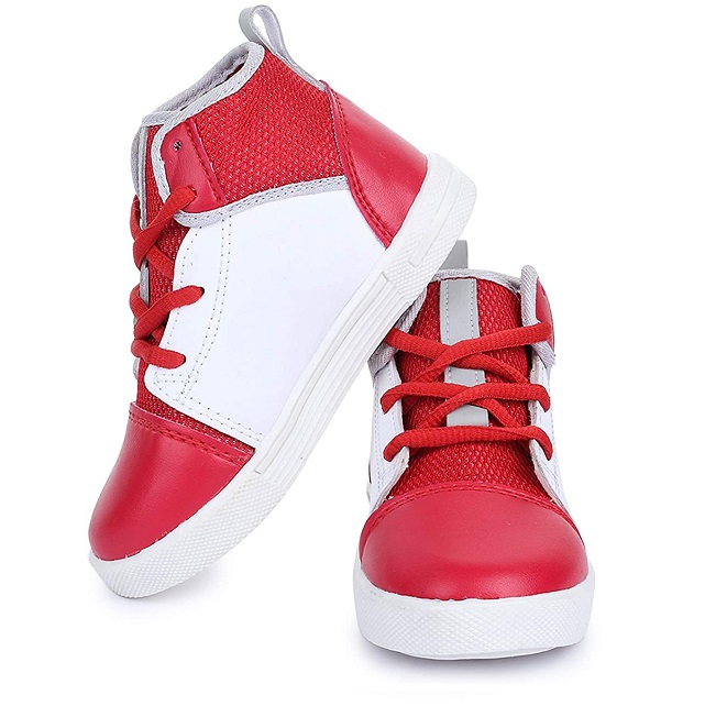 The Picture will be Loaded Soon