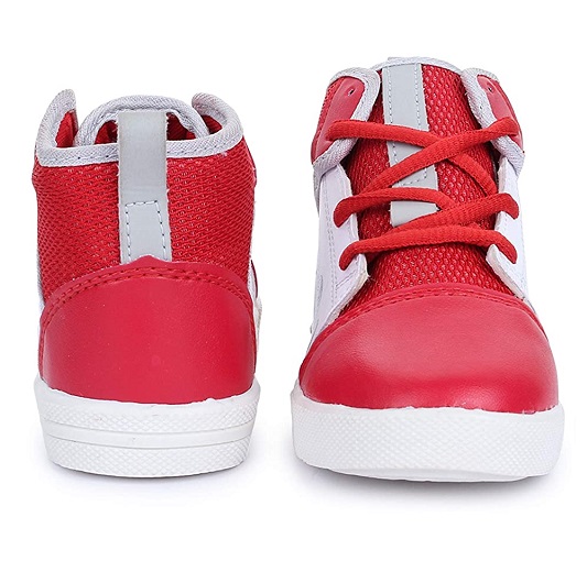 The Picture will be Loaded Soon