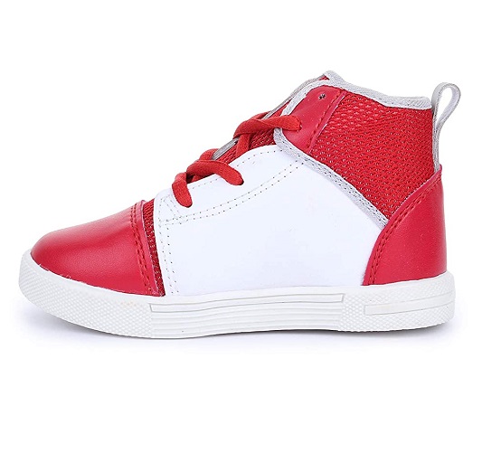 The Picture will be Loaded Soon