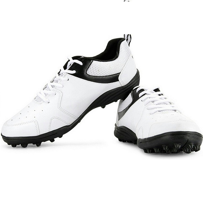 The Picture will be Loaded Soon