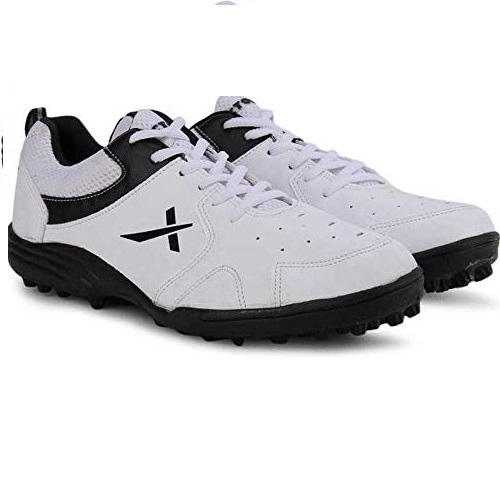 The Picture will be Loaded Soon