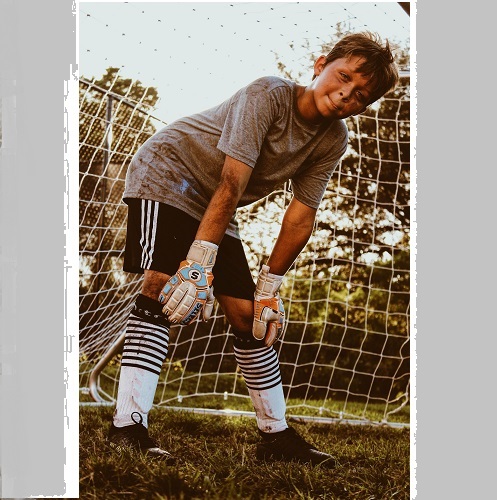 The Picture will be Loaded Soon