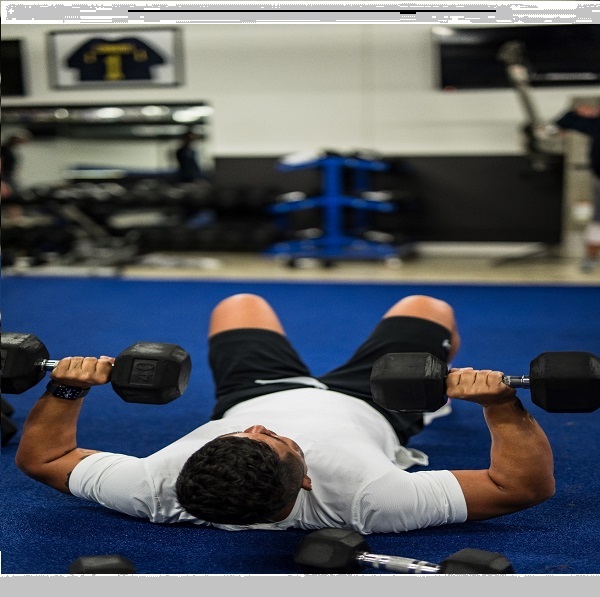 The Picture will be Loaded Soon