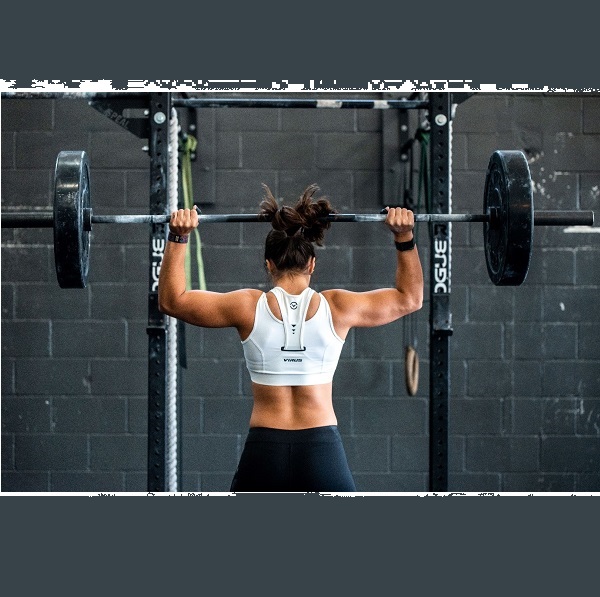 The Picture will be Loaded Soon