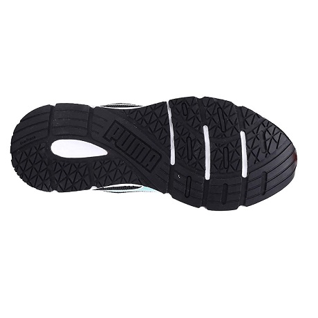 The Picture will be Loaded Soon